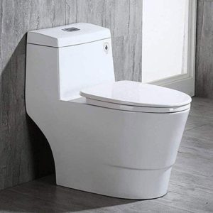 Western Toilet Seat (Floor Mounted) Installation