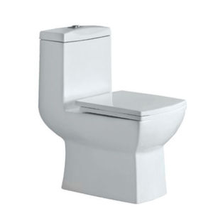Western Toilet Seat (Floor Mounted) Replacement