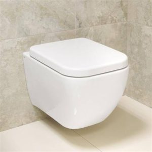 Western Toilet Seat (Wall Mounted) Replace